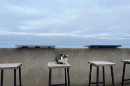 «Аномальное тепло»: синоптики рассказали о погоде в Калининградской области в первой половине декабря