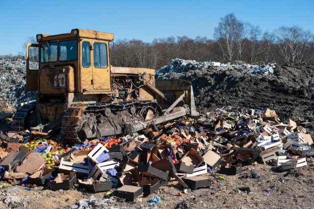 С момента закрытия границ в Калининградской области уничтожили почти 13 тонн санкционки