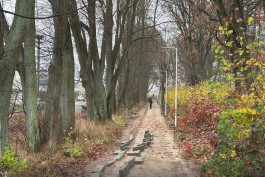 В Черняховске приступили к благоустройству Ботанического сада 