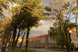 «„Кишку” снесём»: БФУ планирует демонтировать трёхэтажный корпус на Чернышевского