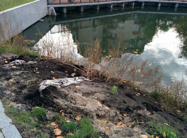 «Набережная под откос»: после реконструкции на озере Поплавок осыпается грунт (фото)