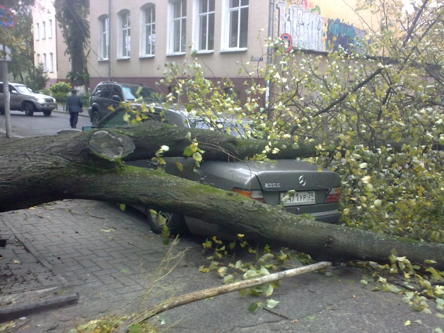 В Калининграде объявлено штормовое предупреждение
