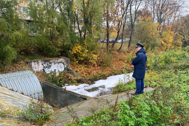 Прокуратура нашла источник загрязнения Литовского ручья в Калининграде