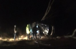 Очевидцы: На трассе Балтийск — Калининград «Лексус» влетел в дерево, погиб водитель