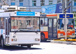 Со следующего года в Калининграде появятся выделенные полосы для общественного транспорта