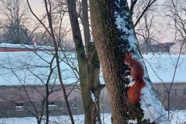 Эксперт рассказала, когда в Калининградскую область придёт потепление 