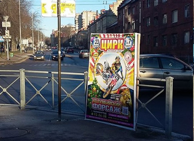 Власти потребовали от привозного цирка убрать незаконную рекламу с улиц Калининграда