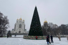 На площади Победы в Калининграде установили и украсили новогоднюю ель (фото)