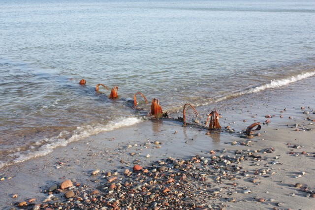 В нацпарке «Куршская коса» рассказали об опасности купания на одном из участков Балтийского моря (фото)