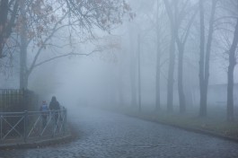 «Город во мгле»: Калининград накрыл густой туман (фото)