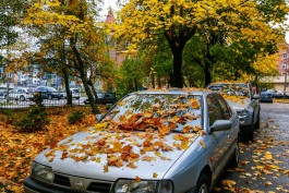 Синоптики прогнозируют пасмурные выходные в Калининградской области