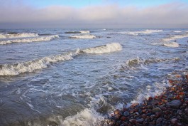 «Балтберегозащита»: «Ксавьер» не нанёс серьёзного урона пляжам области