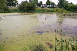 Калининградская область оказалась в лидерах по числу загрязнений водоёмов