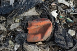 В Калининградской области закупают мусоросжигательную установку за 46,7 млн рублей