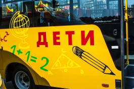 В Калининграде завели уголовное дело на водителя, перевозившего школьников в Берлин на неисправном автобусе