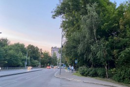 Собственник зелёной зоны на улице Гагарина хочет вернуть право застройки территории