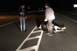Очевидцы: Возле границы с Польшей автомобиль сбил корову