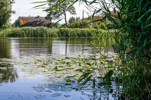 В Славском округе рыбаки нашли в реке тело 55-летнего местного жителя