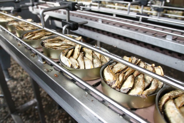 Завод по производству рыбных консервов в Пионерском откроют в первом квартале 2016 года