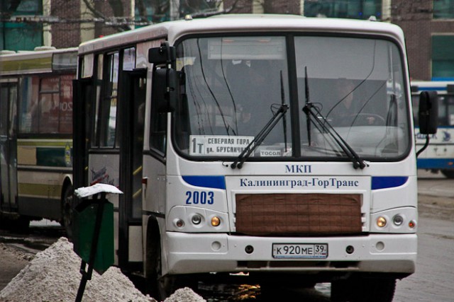 По маршруту №18 в Калининграде пойдут «неудобные» автобусы ПАЗ
