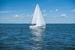 На выходных в Гданьске пройдёт слёт парусников Baltic Sail Gdansk