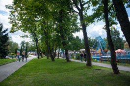 В Центральном парке Калининграда насчитали около 280 аварийных деревьев