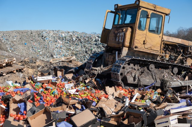 В 2017 году Россельхознадзор уничтожил в Калининградской области более 30 тонн продуктов