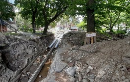 Мэрия: На улице Рокоссовского удалось избежать вырубки большей части деревьев