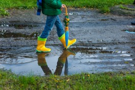 Метеорологи обещают дожди на рабочей неделе в Калининградской области