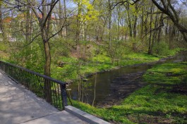 «Воздушный променад и мосты поцелуев»: архитекторы придумали, как преобразить Парковый ручей