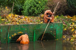 На ликвидацию последствий потопа в Калининграде потребуется 1,5-2 недели