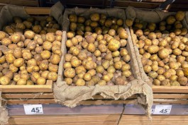 Минсельхоз: Цена на местный картофель в магазинах Калининградской области снизилась до 20-40 рублей