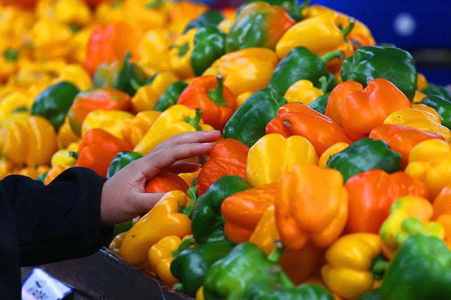 В Гурьевском округе планируют выращивать перцы в промышленных масштабах 