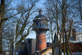 Жителям Зеленоградска предлагают проголосовать за территорию для благоустройства в 2026 году