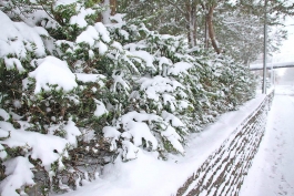 Синоптики обещают сильные морозы и снегопады в регионе до 22 декабря