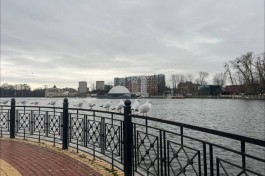 «Похолодает до +3°С»: синоптики рассказали о туманной и ветреной погоде в Калининградской области