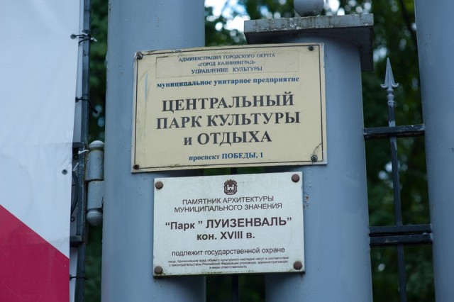 В районе Центрального парка в Калининграде запретят парковку