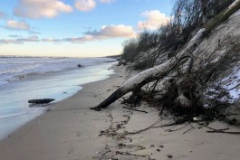 Январские штормы размыли 15,5 га побережья в Калининградской области