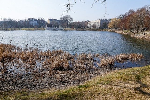 Очистку Летнего озера в Калининграде планируют начать в 2024 году