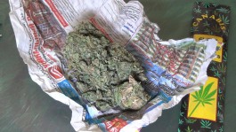 Полицейские нашли у калининградца крупную партию марихуаны, оружие и янтарь (фото)