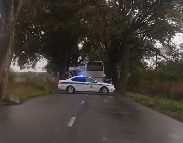 На Люблинском шоссе автобус врезался в дерево: пострадал водитель
