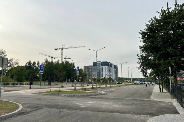 Правительство области выделяет 70 млн рублей на строительство новой дороги на Сельме 