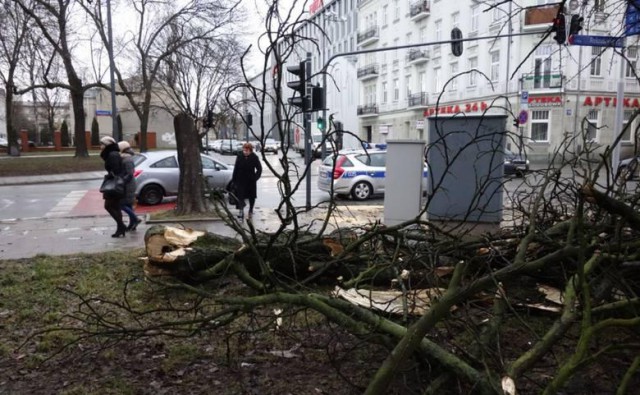 Из-за непогоды в Польше остались без электричества более 55 тысяч человек