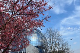 Эксперты: В ближайшее время в Калининградской области сохранится сухая погода и дефицит осадков