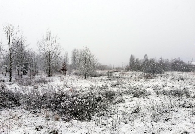 «Фото на память»: на востоке Калининградской области прошёл снегопад