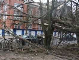 В Калининграде вновь объявлено штормовое предупреждение (видео)
