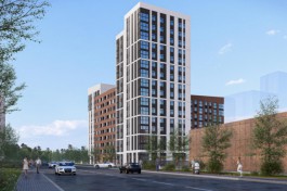 В районе улицы Кошевого в Калининграде разрешили вырубить 141 дерево