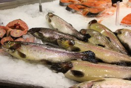 В Калининградской области рассчитывают удвоить объёмы товарной рыбы в 2024 году