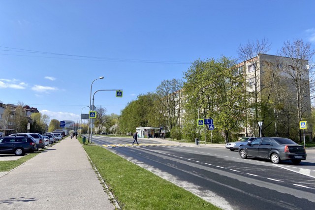 На улице Куйбышева в Калининграде планируют высадить живую изгородь 