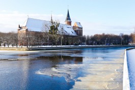 Калининградская область оказалась в числе самых посещаемых регионов РФ на новогодние праздники